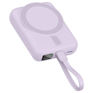 Neutron 10000mAh, vjollcë