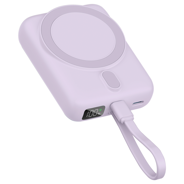 Neutron 10000mAh, vjollcë